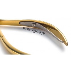 NGHIA D-02v